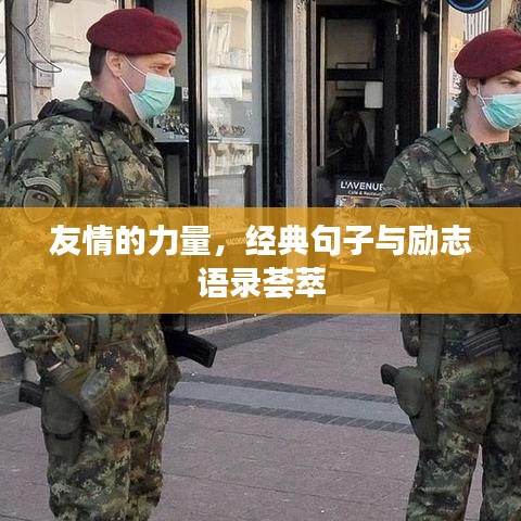 友情的力量，经典句子与励志语录荟萃