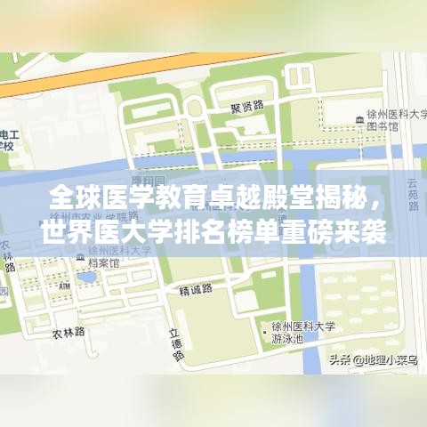 全球医学教育卓越殿堂揭秘，世界医大学排名榜单重磅来袭！