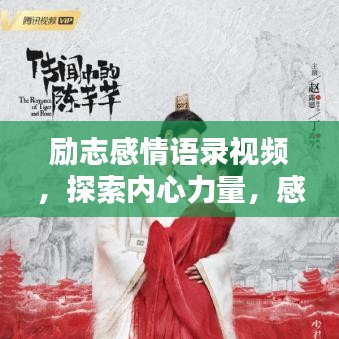 励志感情语录视频，探索内心力量，感悟人生真谛