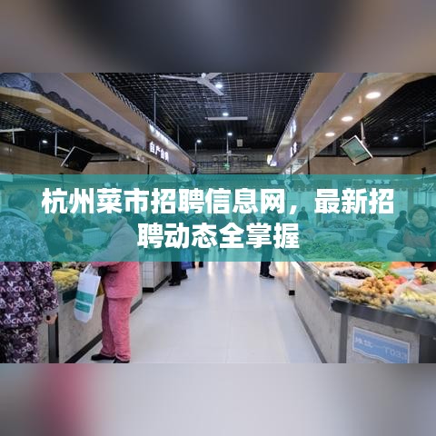 杭州菜市招聘信息网，最新招聘动态全掌握