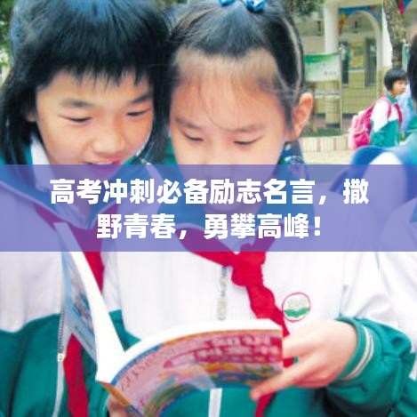 高考冲刺必备励志名言，撒野青春，勇攀高峰！