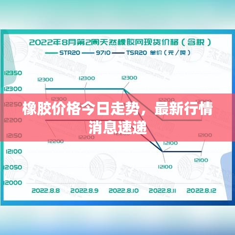 橡胶价格今日走势，最新行情消息速递