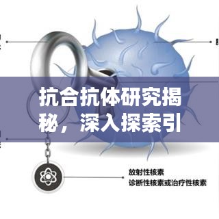 抗合抗体研究揭秘，深入探索引领新发现