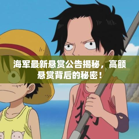 海军最新悬赏公告揭秘，高额悬赏背后的秘密！