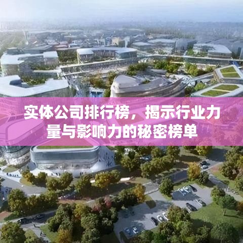 实体公司排行榜，揭示行业力量与影响力的秘密榜单