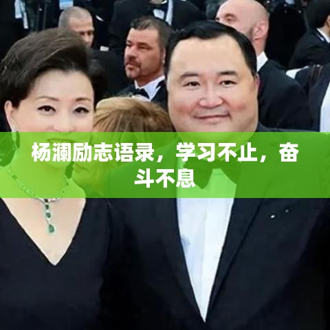 杨澜励志语录，学习不止，奋斗不息