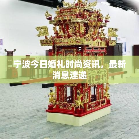 宁波今日婚礼时尚资讯，最新消息速递