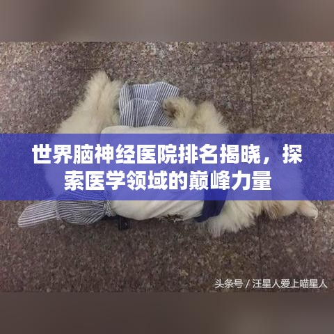 世界脑神经医院排名揭晓，探索医学领域的巅峰力量