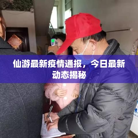 仙游最新疫情通报，今日最新动态揭秘