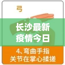 长沙最新疫情今日数据解析，新增情况一览