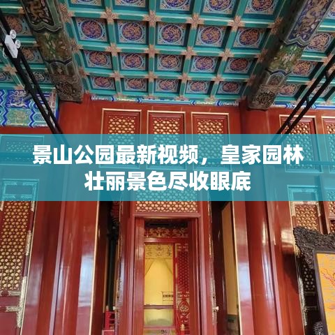 景山公园最新视频，皇家园林壮丽景色尽收眼底