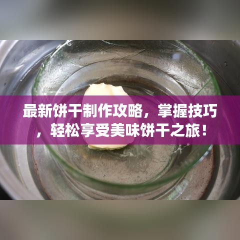 最新饼干制作攻略，掌握技巧，轻松享受美味饼干之旅！