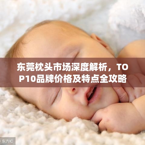 东莞枕头市场深度解析，TOP10品牌价格及特点全攻略