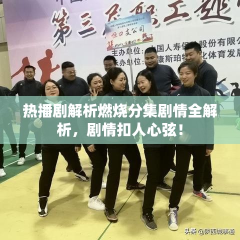 热播剧解析燃烧分集剧情全解析，剧情扣人心弦！
