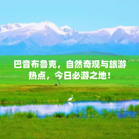 巴音布鲁克，自然奇观与旅游热点，今日必游之地！