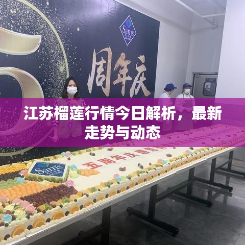 江苏榴莲行情今日解析，最新走势与动态