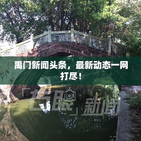 禹门新闻头条，最新动态一网打尽！