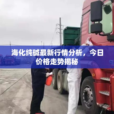 海化纯碱最新行情分析，今日价格走势揭秘