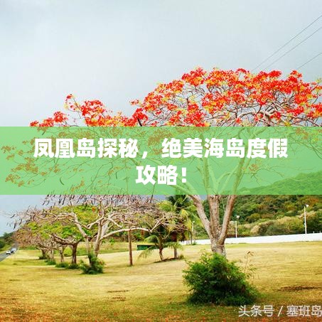凤凰岛探秘，绝美海岛度假攻略！