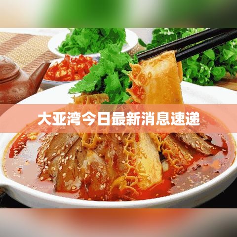 大亚湾今日最新消息速递