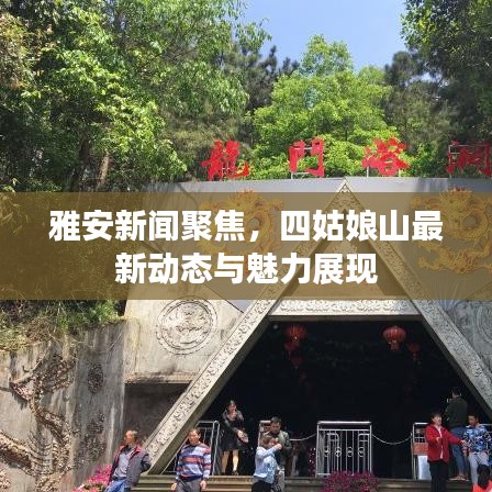 雅安新闻聚焦，四姑娘山最新动态与魅力展现