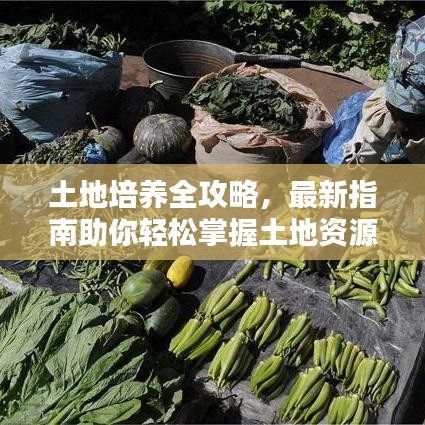 土地培养全攻略，最新指南助你轻松掌握土地资源培育技巧！