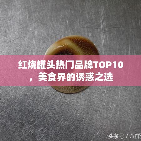 红烧罐头热门品牌TOP10，美食界的诱惑之选