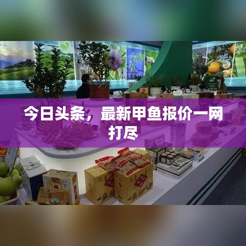 今日头条，最新甲鱼报价一网打尽