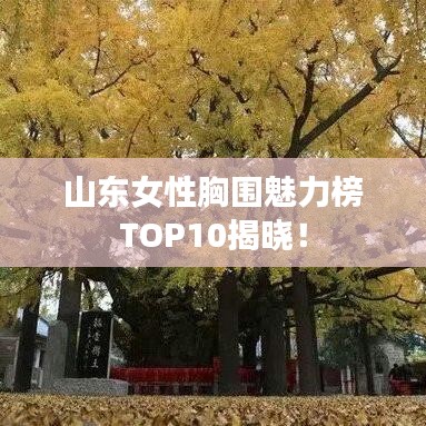 山东女性胸围魅力榜TOP10揭晓！