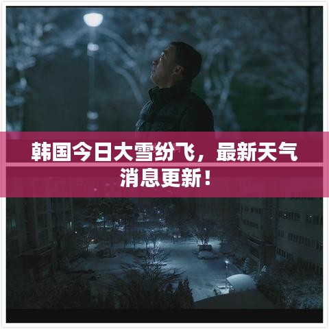 韩国今日大雪纷飞，最新天气消息更新！