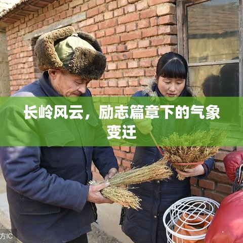 长岭风云，励志篇章下的气象变迁