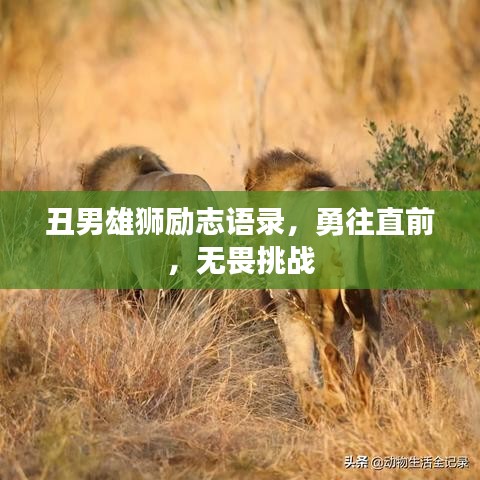 雅人深致