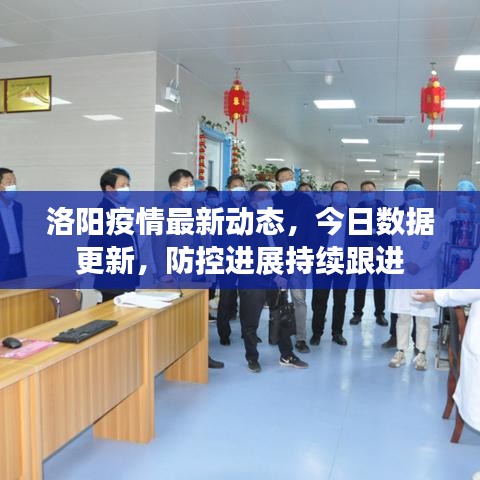 洛阳疫情最新动态，今日数据更新，防控进展持续跟进