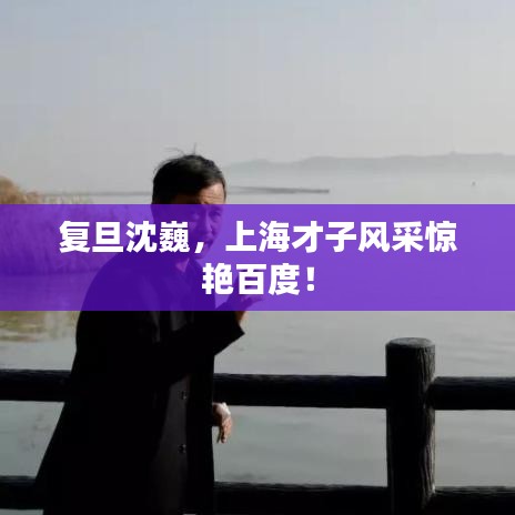 复旦沈巍，上海才子风采惊艳百度！