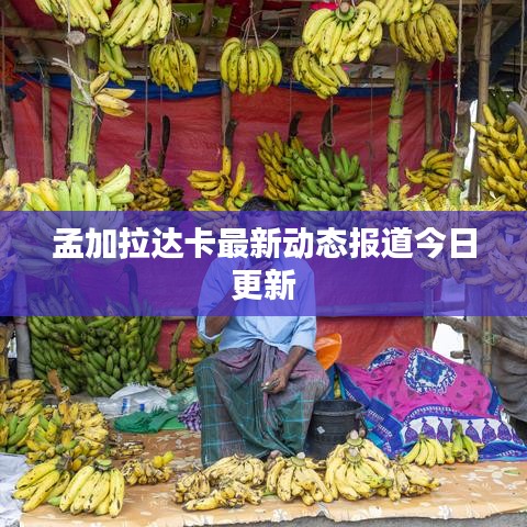 孟加拉达卡最新动态报道今日更新