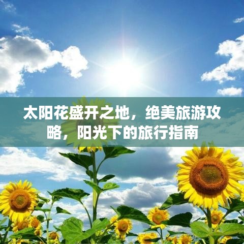 太阳花盛开之地，绝美旅游攻略，阳光下的旅行指南