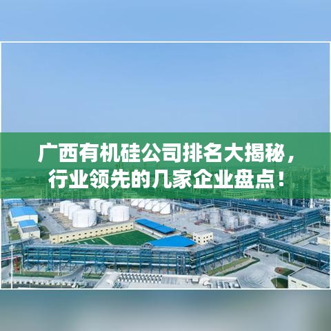 广西有机硅公司排名大揭秘，行业领先的几家企业盘点！