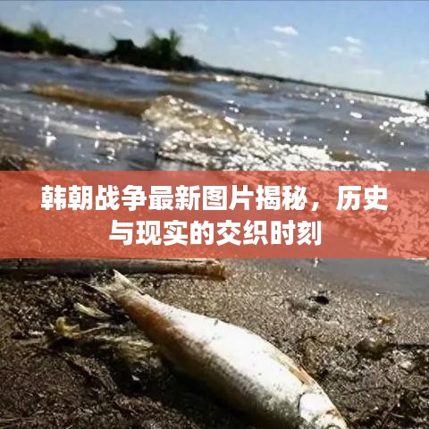 韩朝战争最新图片揭秘，历史与现实的交织时刻