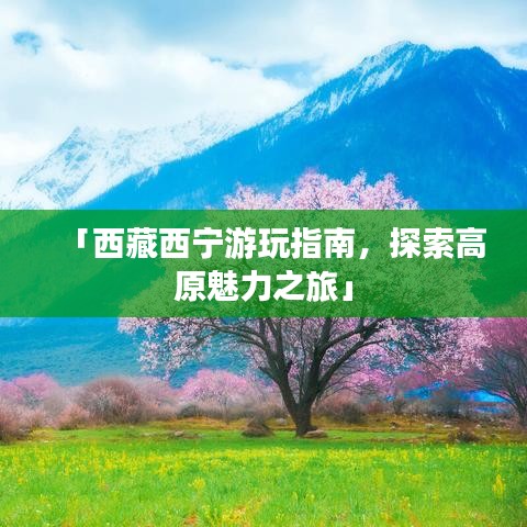 「西藏西宁游玩指南，探索高原魅力之旅」