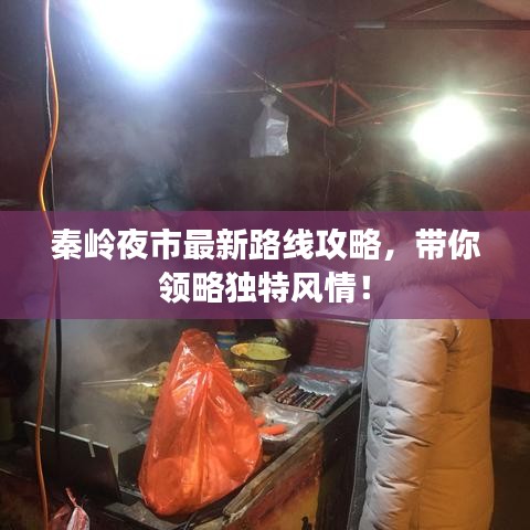 秦岭夜市最新路线攻略，带你领略独特风情！