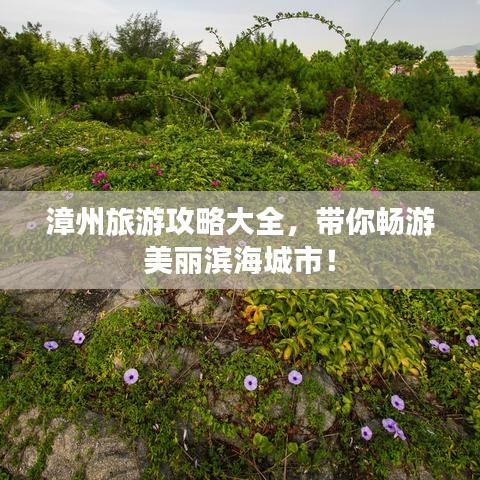 漳州旅游攻略大全，带你畅游美丽滨海城市！