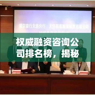 权威融资咨询公司排名榜，揭秘行业领军者
