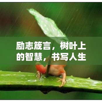 箪瓢陋巷