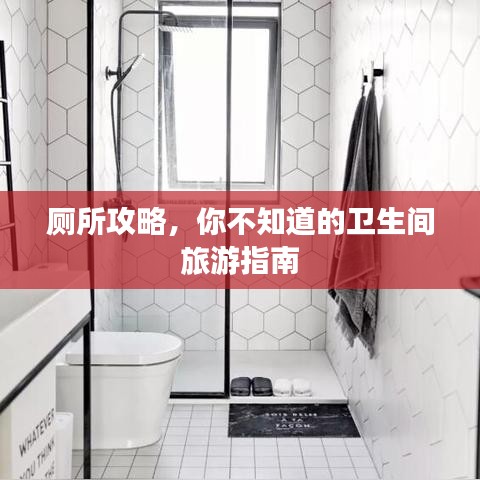 厕所攻略，你不知道的卫生间旅游指南