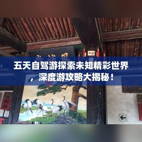 五天自驾游探索未知精彩世界，深度游攻略大揭秘！