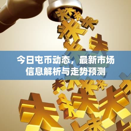 今日屯币动态，最新市场信息解析与走势预测