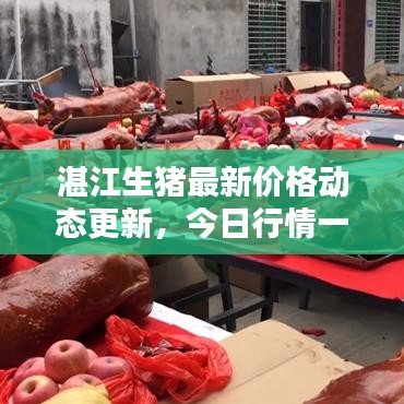 湛江生猪最新价格动态更新，今日行情一网打尽