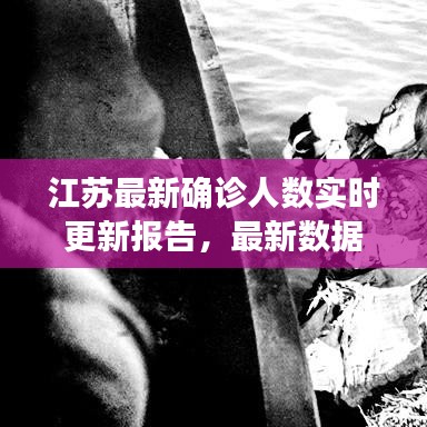 江苏最新确诊人数实时更新报告，最新数据揭秘