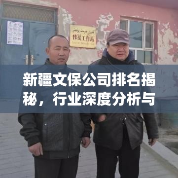 新疆文保公司排名揭秘，行业深度分析与前景展望