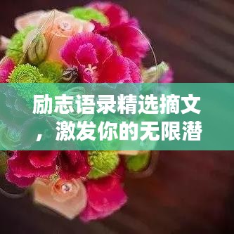 励志语录精选摘文，激发你的无限潜能！